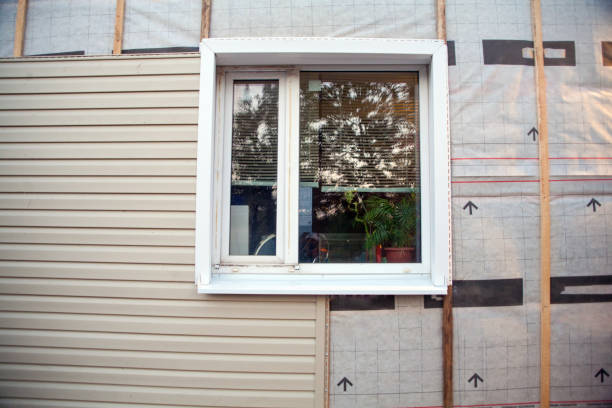 Best Shed Removal  in Bridge City, LA