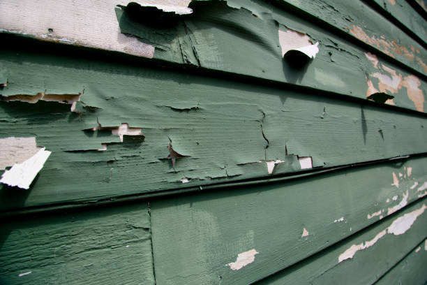 Best Residential Junk Removal  in Bridge City, LA