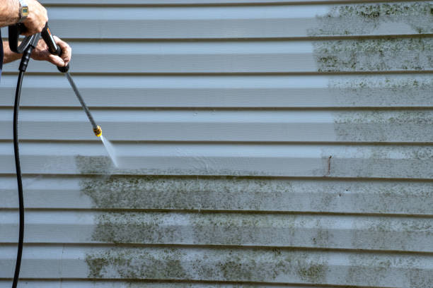 Best Attic Cleanout  in Bridge City, LA