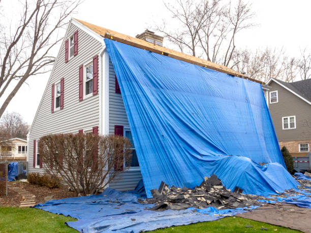 Best Hoarding Cleanup  in Bridge City, LA